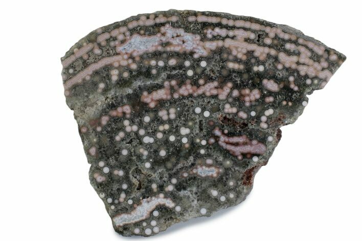 Polished Orbicular Ocean Jasper Slab - Madagascar #379339